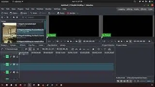 83 How to change the view in the project bin