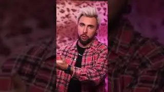 Птичье такси! 