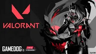 VALORANT | Tamil LIVE | Game Dog | PC games | with my bois🗿