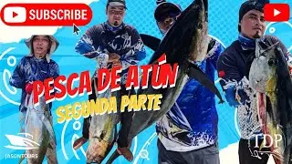 PESCA DE ATUN 2°parte // yellowfin_tuna fishing  #pesca #fishing #yellowfintuna #atún #tuna