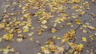 Заочная экскурсия