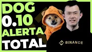 DOG GO TO THE MOON ALERTA GERAL