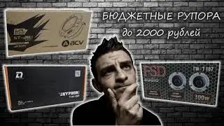 Как выбрать эстрадные рупора до 2000р и не прогадать?