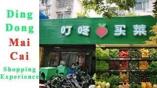 Ding Dong Mai Cai Shopping Experience 叮咚买菜