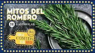 Does rosemary help with anxiety? | Discover myths and truths about this herb