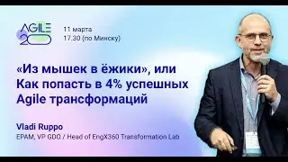 Влади Руппо: "Из мышек в ёжики", или Как попасть в 4% успешных Agile трансформаций