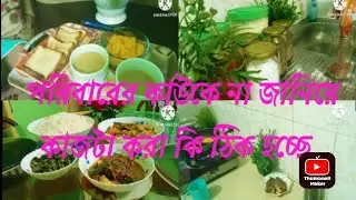 পরিবারের কাউকে না জানিয়ে এই কাজটি করা কি ঠিক হচ্ছে?পাকা পেঁপে মাছ দিয়ে তরকারি রান্না।