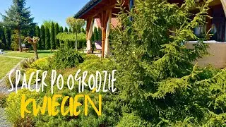 Spacer po Ogrodzie Rabaty, Drzewa, Krzewy - Ogród w Kwietniu