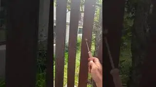 Ιερά Μονή Παναγίας