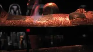 What Killed King Tut?
