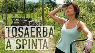 TAGLIAERBA ELICOIDALE A SPINTA 😅  | GIARDINAGGIO