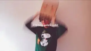 Mi Sobrino Memo - Desvelado (Bobby Pulido)