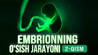 Embrionning o‘sish jarayoni 2-qism | Allohning mo'jizalari 17-son
