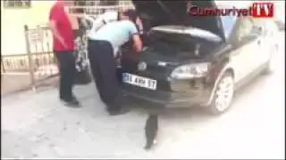 Araca sıkışan yavru kedi kurtarılırken annesi yardïma geldi