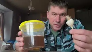 Полезное средство для укрепления иммунитета! Средство от моего шефа!