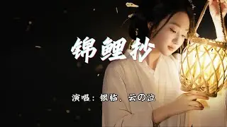 银临、云の泣 - 锦鲤抄『阳光微凉 琴弦微凉，风声疏狂 人间仓皇。』【动态歌词MV】