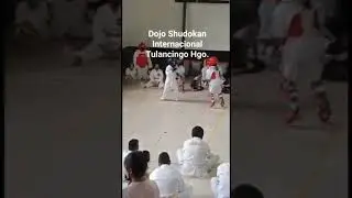 Dojo Shudokan Internacional Tulancingo Hidalgo