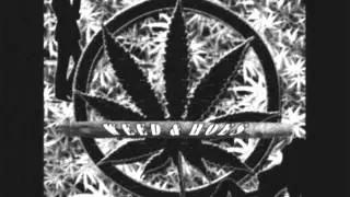Murder Team - Gangsta's Life (New Song)