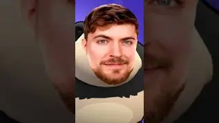 мр бист панда 🐼