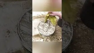 Панно из гипса за пять минут  