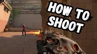 How To Shoot The Vandal Properly... NO BS