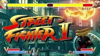 Street Fighter 5: The World Warrior