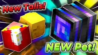 How To Get Minister Talismans AND New Pet!!! | Hypixel SkyBlock