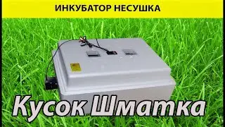 Инкубатор Несушка И С Первого Дня Ты Расхочешь Разводить Цыплят