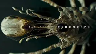 Cam Lasky - Black Globules (Original Mix) | XENOMORPH Vol.2 | KWAIOTO Records