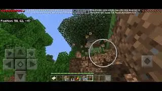 Minecraft Gameplay