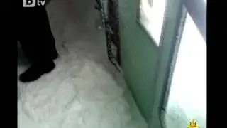 БДЖ - (не)приятно пътуване