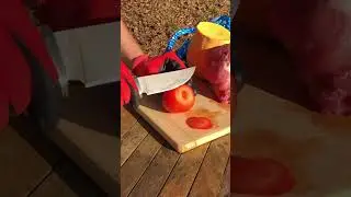 Easily cuts a bottle - Phantom 