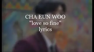 cha eun woo - 