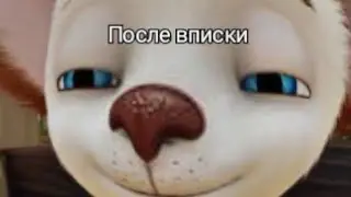 МУД Барбоскины №2