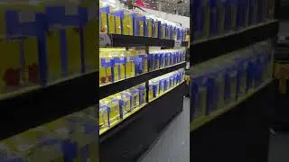 Kompetisi ikan cupang yang di ikutin oleh 700 peserta #cupangindonesia #ikancupanghias