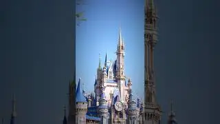 Your kids at Disney World✨Part 2: The Castle