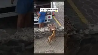 🙏😭🐾🥺 