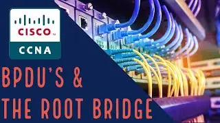 Cisco CCNA - Spanning Tree BPDUs & The Root Bridge