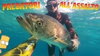 Autunno Mozzafiato! A pochi metri da riva.. - Pesca in Apnea