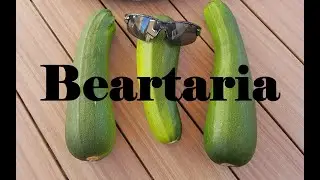 Beartaria