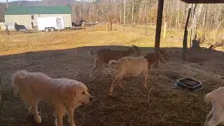 Update on the farm