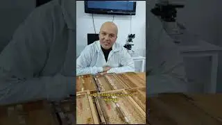 Pa' qué la Histología