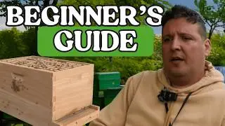 How to Become a Beekeeper (Beginner Beekeeping Basics)