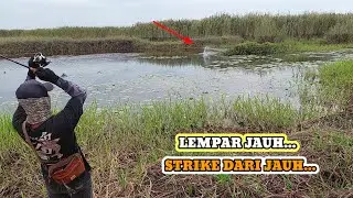 GOKIL!! LEMPAR JAUH, STRIKE JAUH!! CASTING GABUS HARUAN