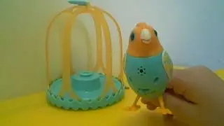 Птичка