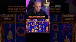 онлайн казино и заносы недели , игра madame destiny megaways