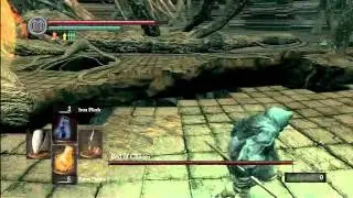 Dark Souls Boss: Bed Of Chaos
