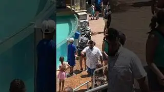 Oh with me? 😆 Tom mime Seaworld 