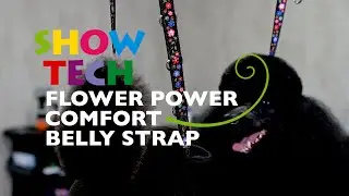 Show Tech Flower Power Belly Strap & Extension Straps: Essential Grooming Tools for Dogs