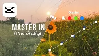 Master in GRAPHS in Capcut - Capcut Tutorial